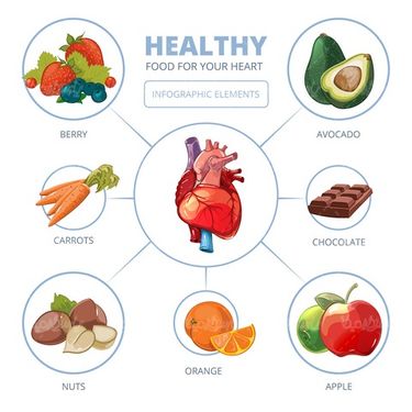 وکتور مواد غذایی مفید برای قلب