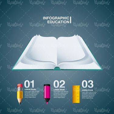 Educational infographic vector