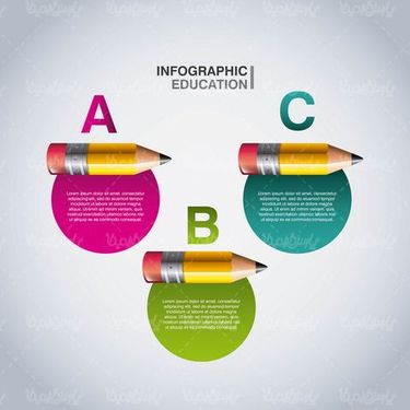 Educational infographic vector