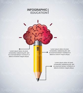 Educational infographic vector