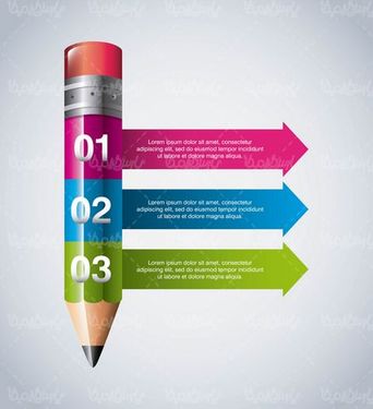 Educational infographic vector