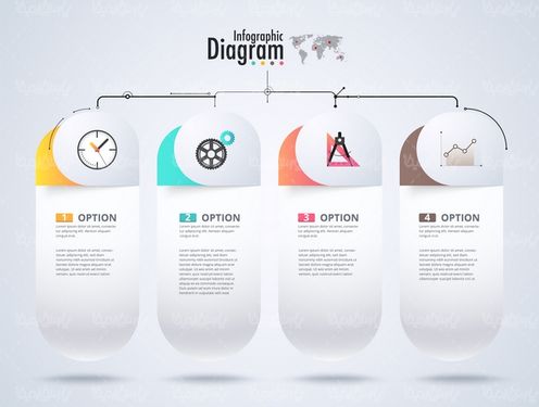 Infographic vector