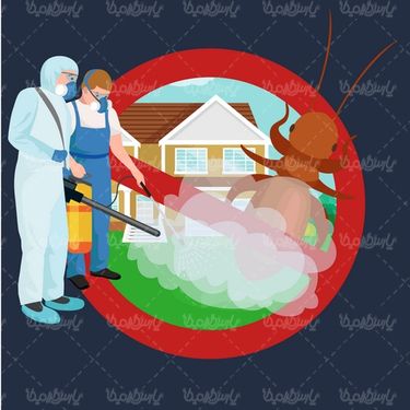 Insect spraying vector