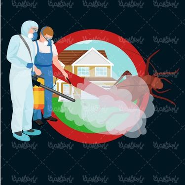 Insect spraying vector