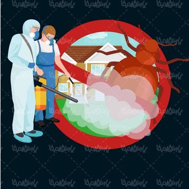 Insect spraying vector