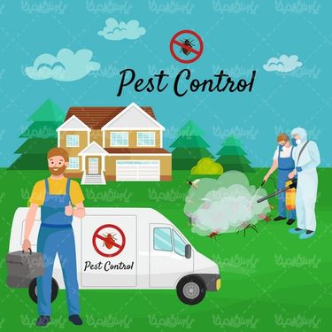 Insect spraying vector