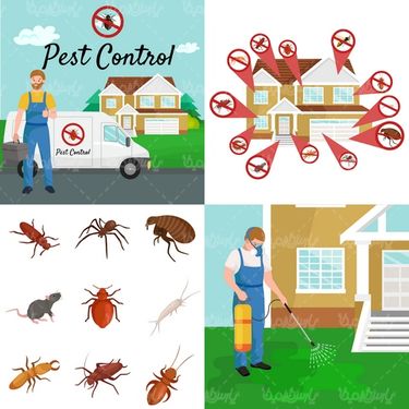 Insect spraying vector