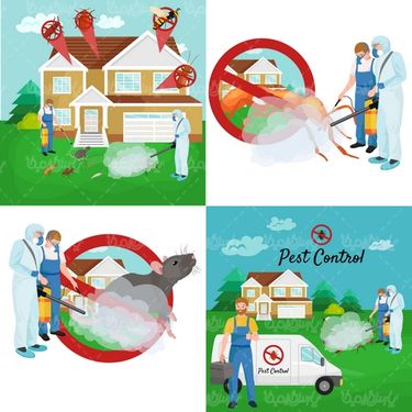 Insect spraying vector