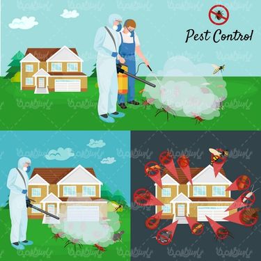 Insect spraying vector