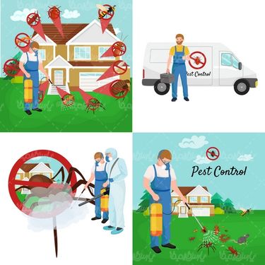 Insect spraying vector