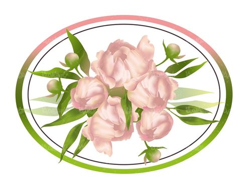 وکتور فریم گل