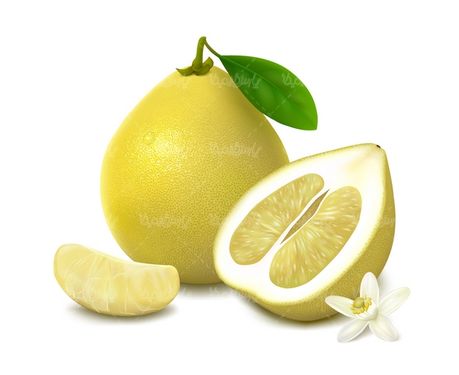 وکتور لیمو