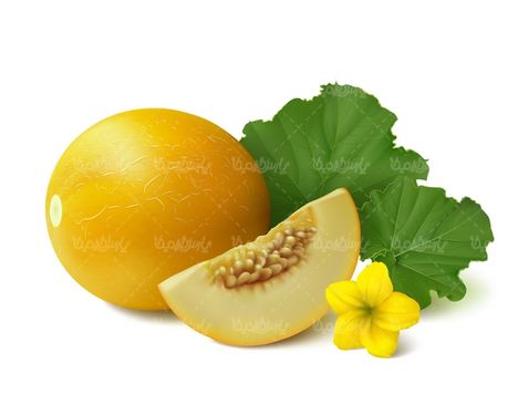 وکتور ملون