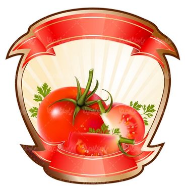 Tomato Vector