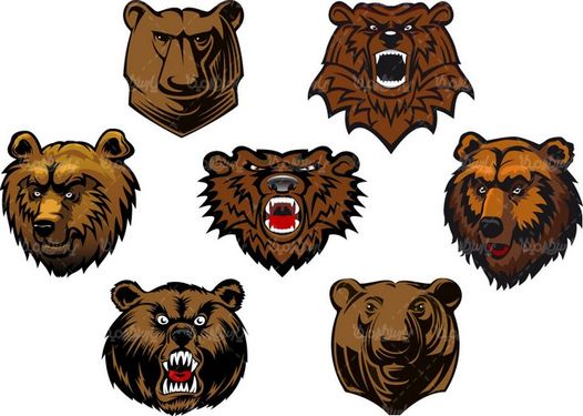 Bear Vector