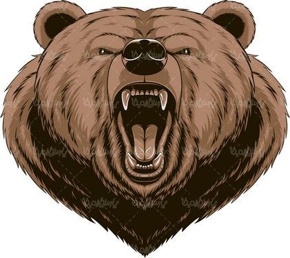 Bear Vector