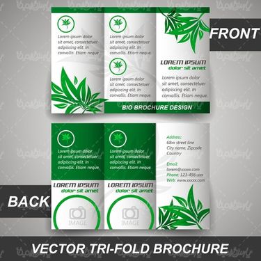 Vector graphic design brochure