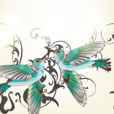 وکتور گل مرغ