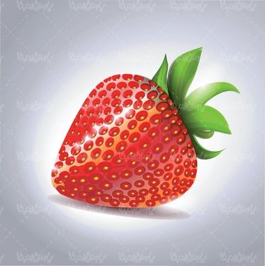 وکتور توت فرنگی