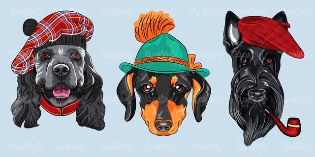 Vector dog