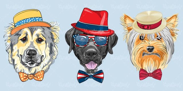 Vector dog