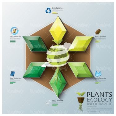 Ecology vector