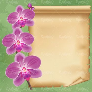 وکتور حاشیه گل