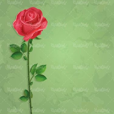 وکتور فریم گل