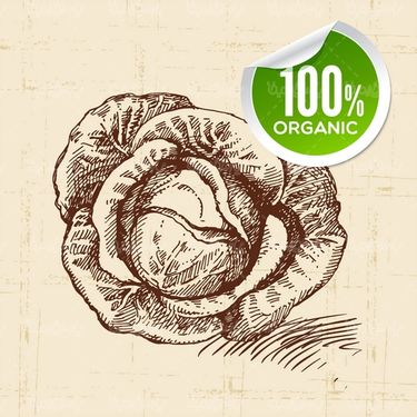 Organic Fruit Label Vector