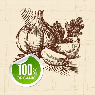 Organic Fruit Label Vector