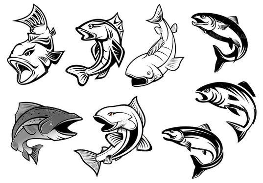 Fishing vector