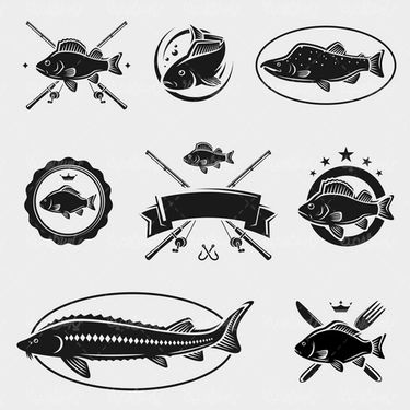 Fishing vector