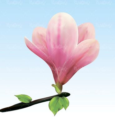 وکتور پس زمینه