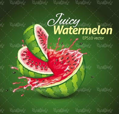 Watermelon vector