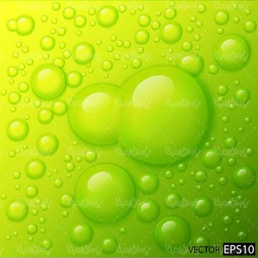 Dew background vector