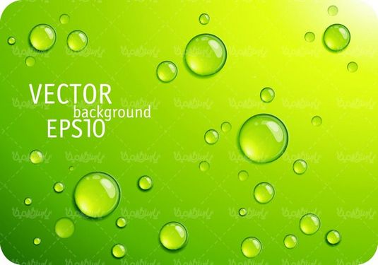 Dew background vector