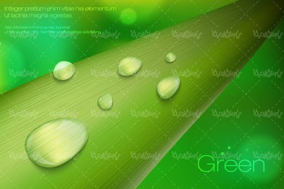 Dew background vector