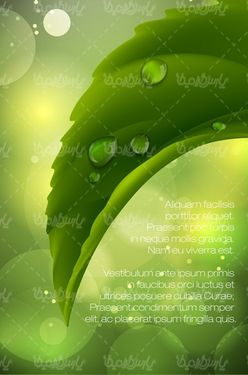Dew background vector