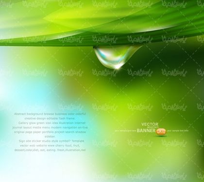Dew background vector