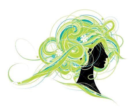Vector female hairstyles