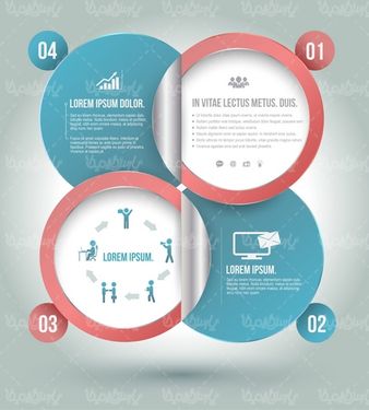 Vector infographic