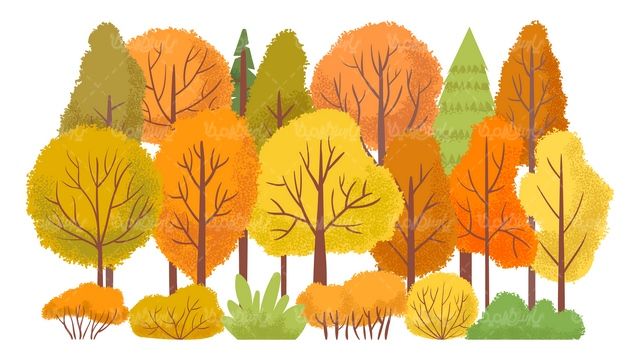 Autumn leaf vector