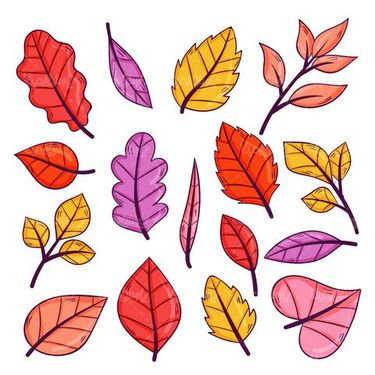 Autumn leaf vector