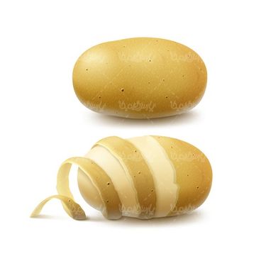 وکتور سیب زمینی