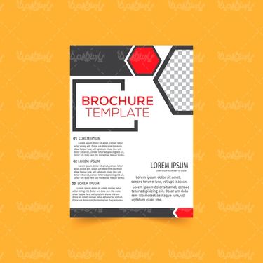 Vector brochure template