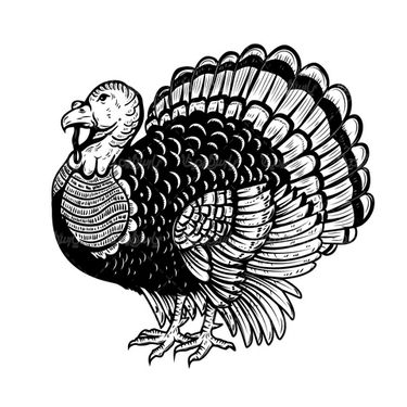 Vector turkey