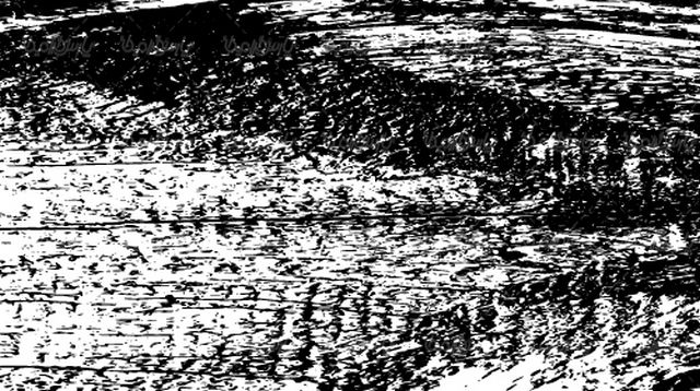 Vector texture