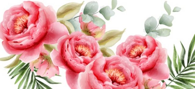 وکتور بک گراند گل