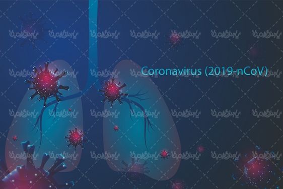 Corona virus vector