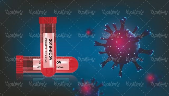 Corona virus vector